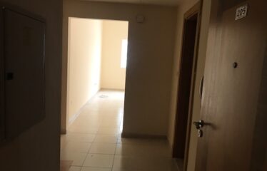 Spacious 1 bhk for Sale In Axis 6 Building in DSO