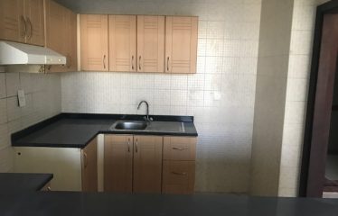 Spacious 1 Bhk for sale in DSo near DTEC