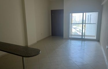 Spacious Studio for rent in Lynx tower in DSO