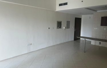 Spacious Studio for rent in Lynx tower in DSO