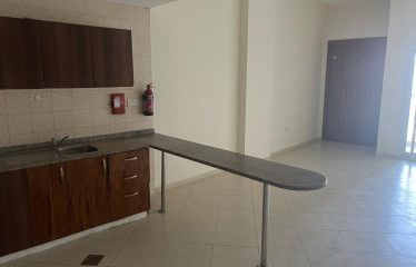 Spacious Studio for rent in Lynx tower in DSO