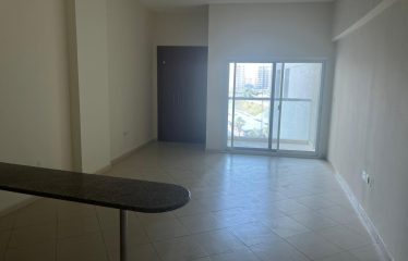 Spacious Studio for rent in Lynx tower in DSO