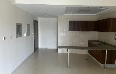 Spacious Studio for rent in Lynx tower in DSO