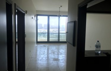 Spacious 1 Bhk for sale in DSo near DTEC