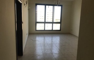 Cheapest 1 Bhk for sale in DSO near DTEC