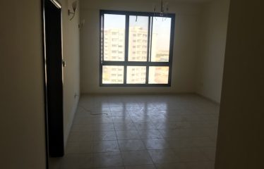 Cheapest 1 Bhk for sale in DSO near DTEC